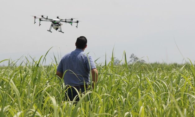 Proyecto apoyará nuevas tecnologías en agricultores locales